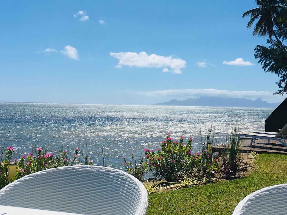 Le Ficus Grande Villa Bord de mer Avec Piscine