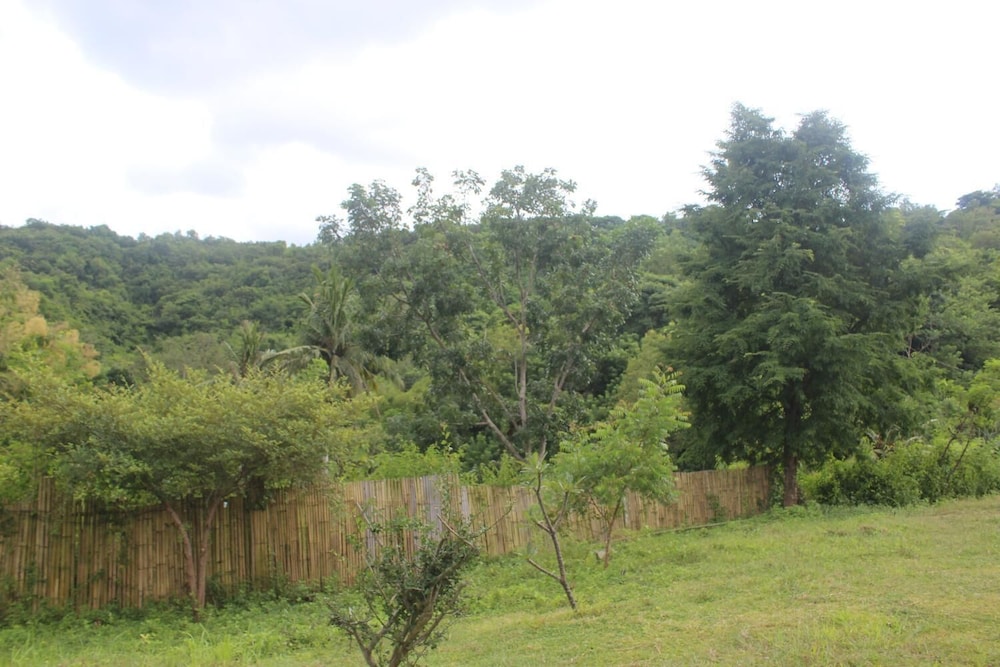 Photo 28