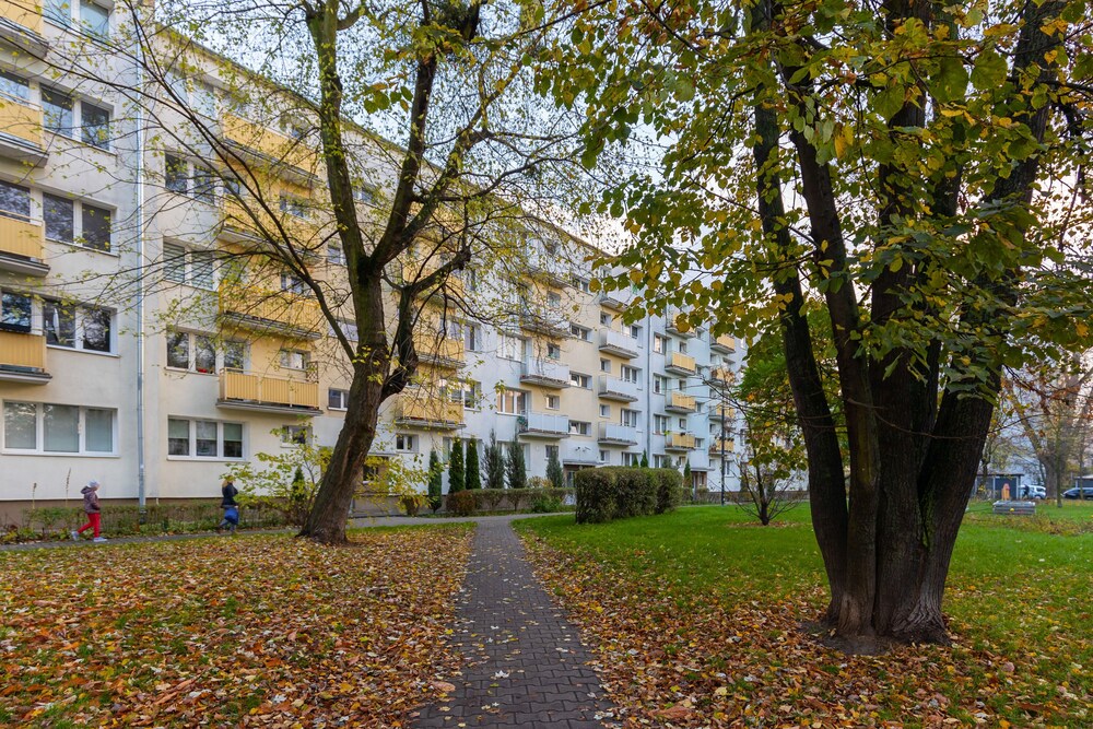 Photo 50