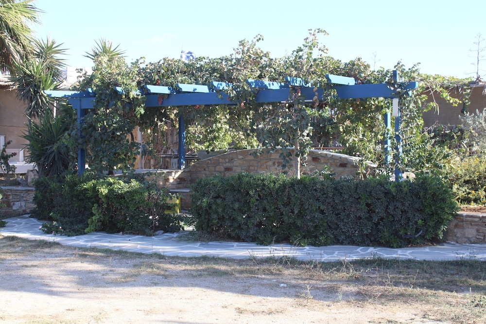 Photo 6