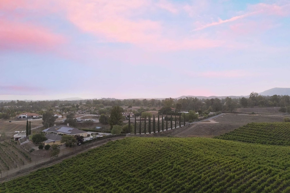 2 Homes in Bella Vista Rd by Avantstay Sleeps 8, Vineyard Views, Patios & Fireplace in Temecula Wine Trail