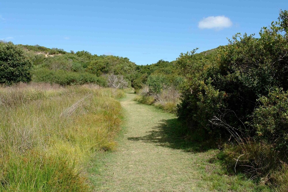 Photo 44