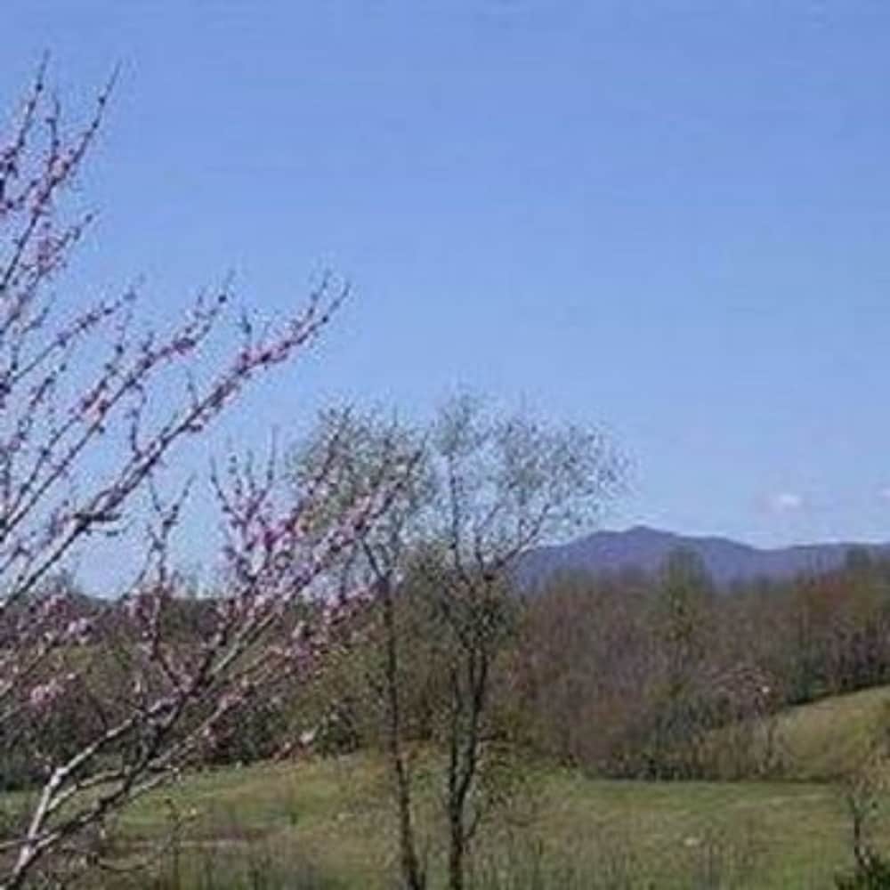 Belle Meade Bed and Breakfast