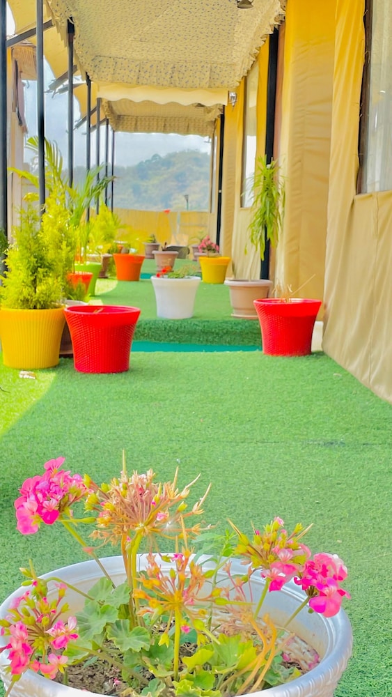Bambooz Bel cottage and camps Kasauli