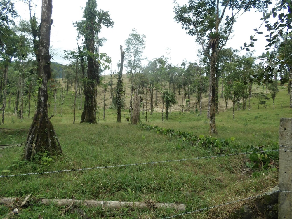 Pura Vidaville - Hiker's Hideaway