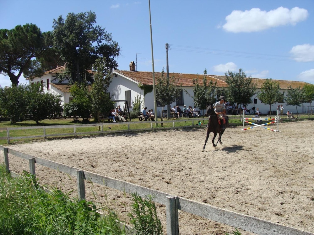 Photo 46