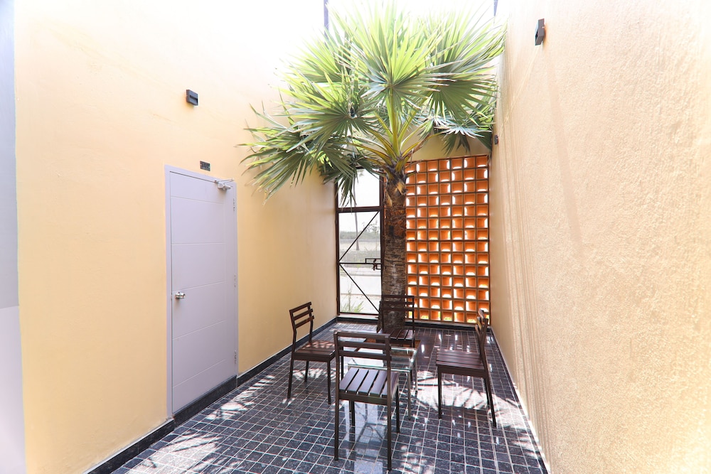 LA PALMERA view 2