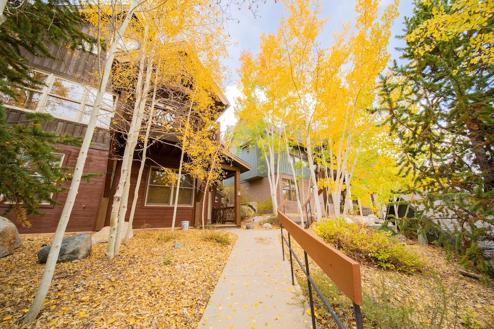 Cabin in the Pines 4