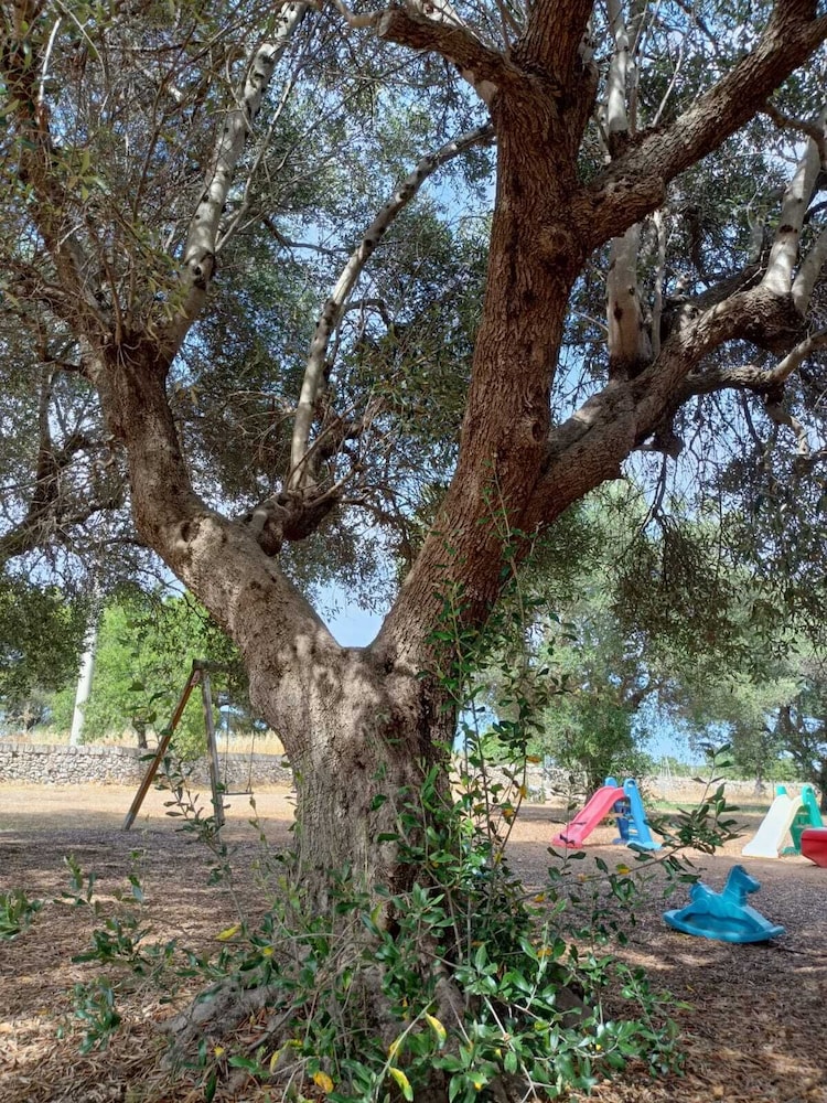 Masseria Belvedere