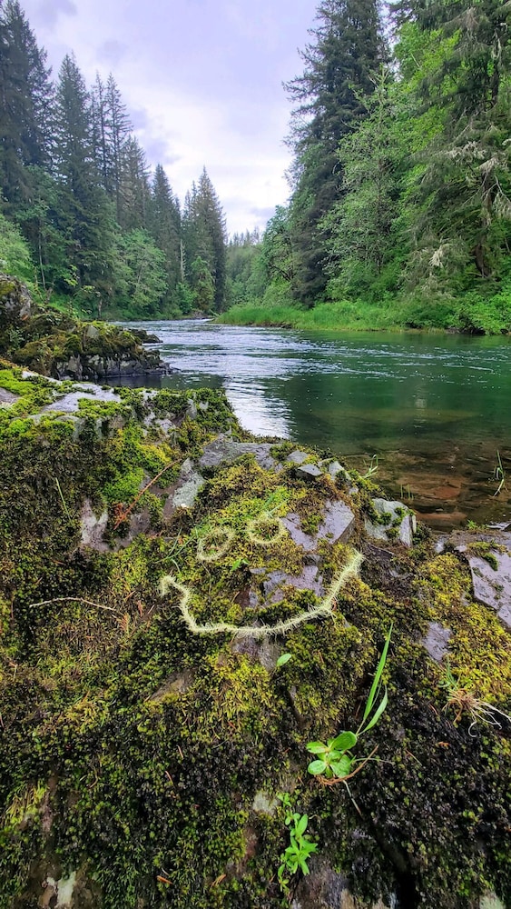 Welch Cabin - A License to Chill