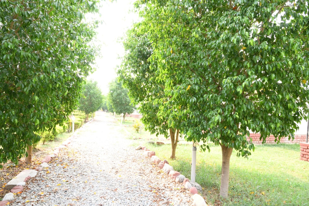 Camp Pawalgarh