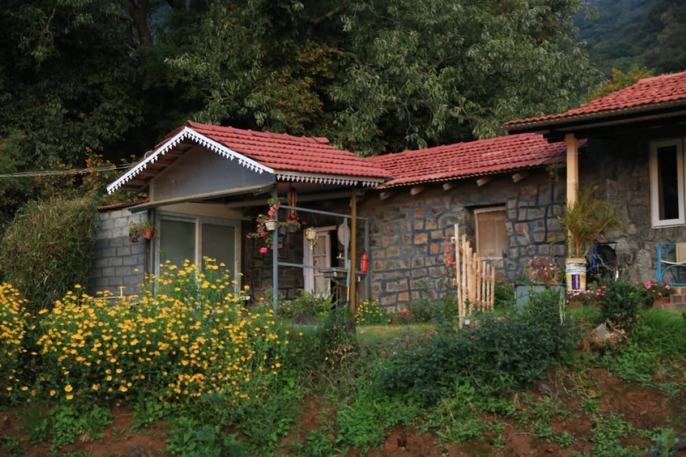 Wild and Free Farm Stay