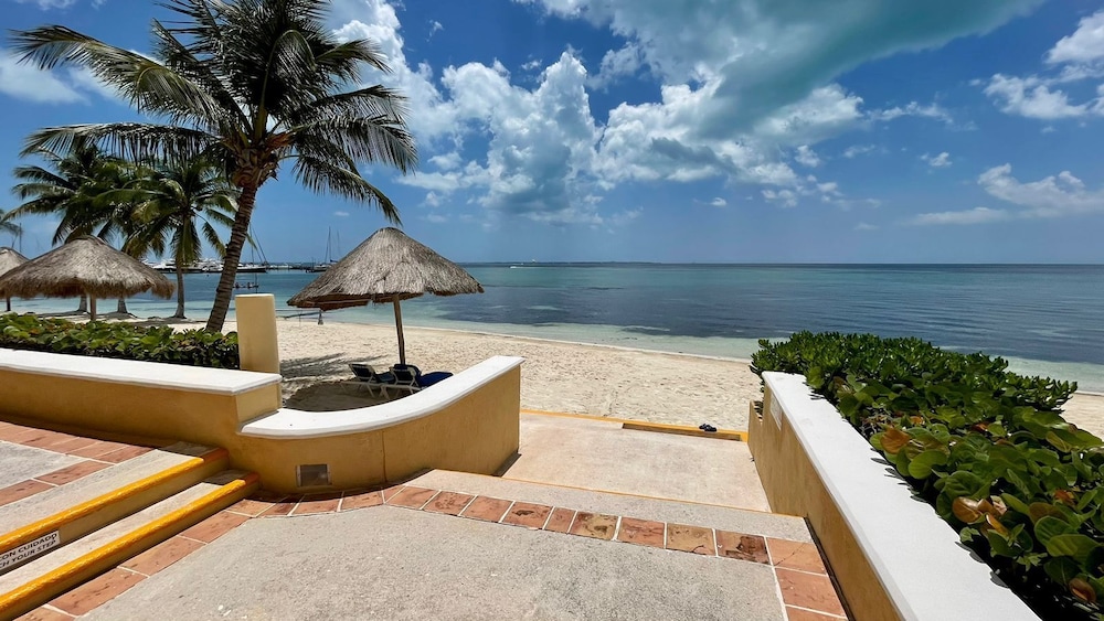 tropical apartment