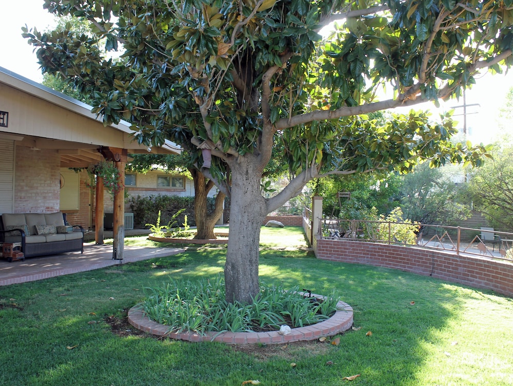 Photo 7