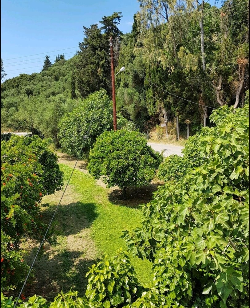 Photo 36