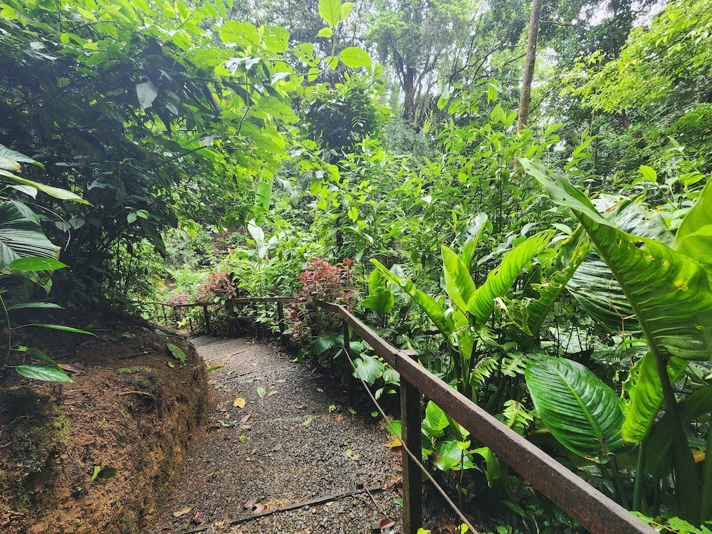 Cabañas Caeli, El Colibri, NEW La Fortuna Rainforest Cabin w Panoramic Views
