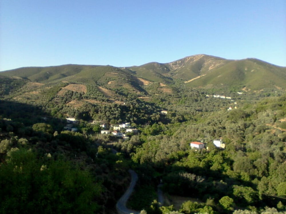 Photo 26