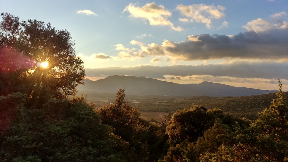 Mas de Cocagne en Provence