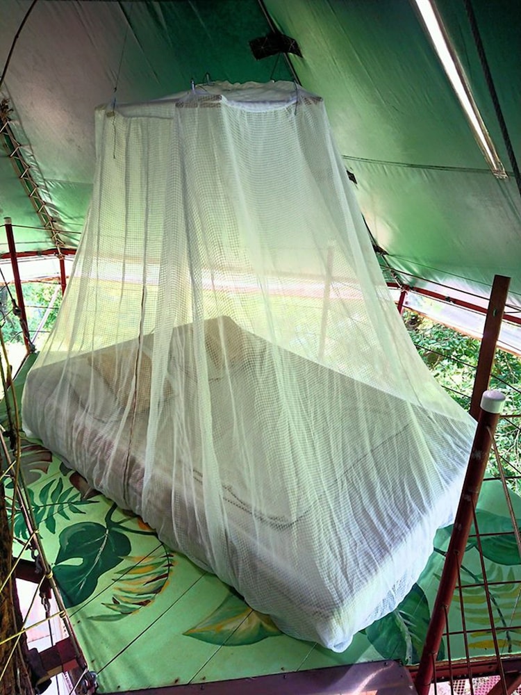 Nature Observatorio Amazing Treehouse