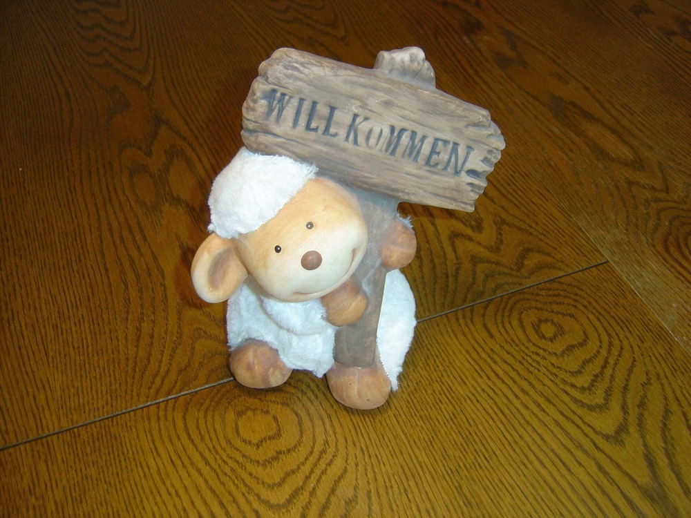 Photo 16