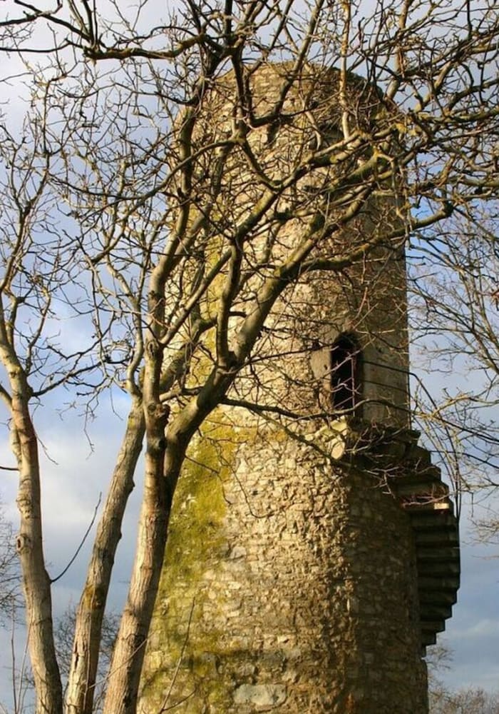 Am Turm Modern Retreat