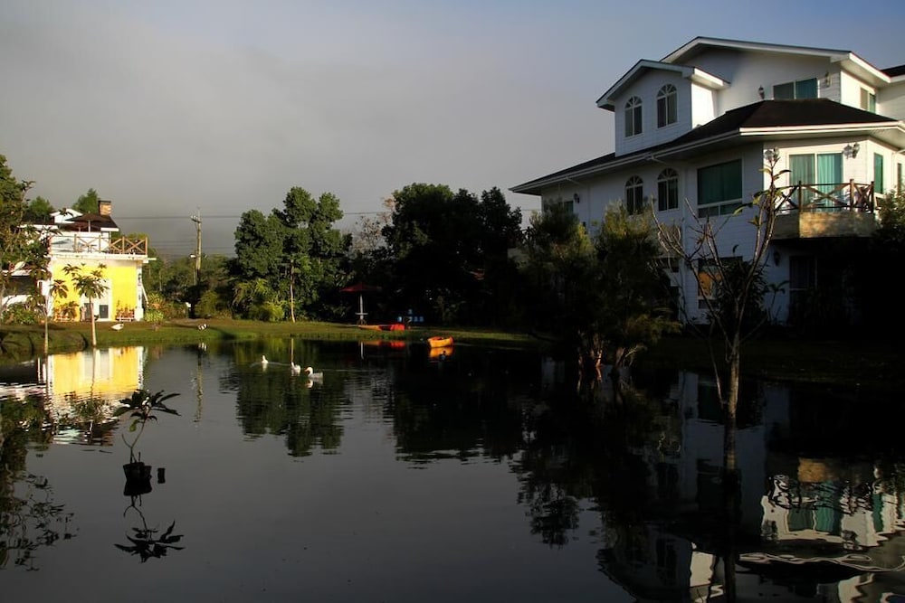 Tree Lake B&B view 2