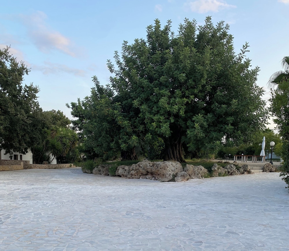 Tenuta Giannini