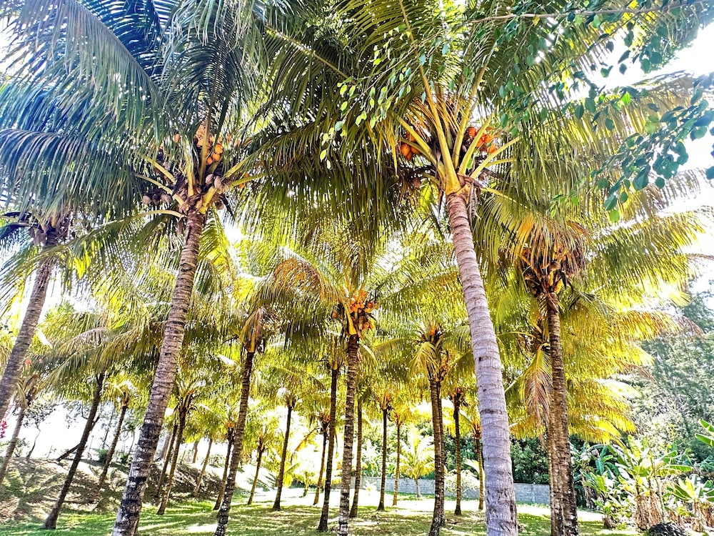 KOA Hotel