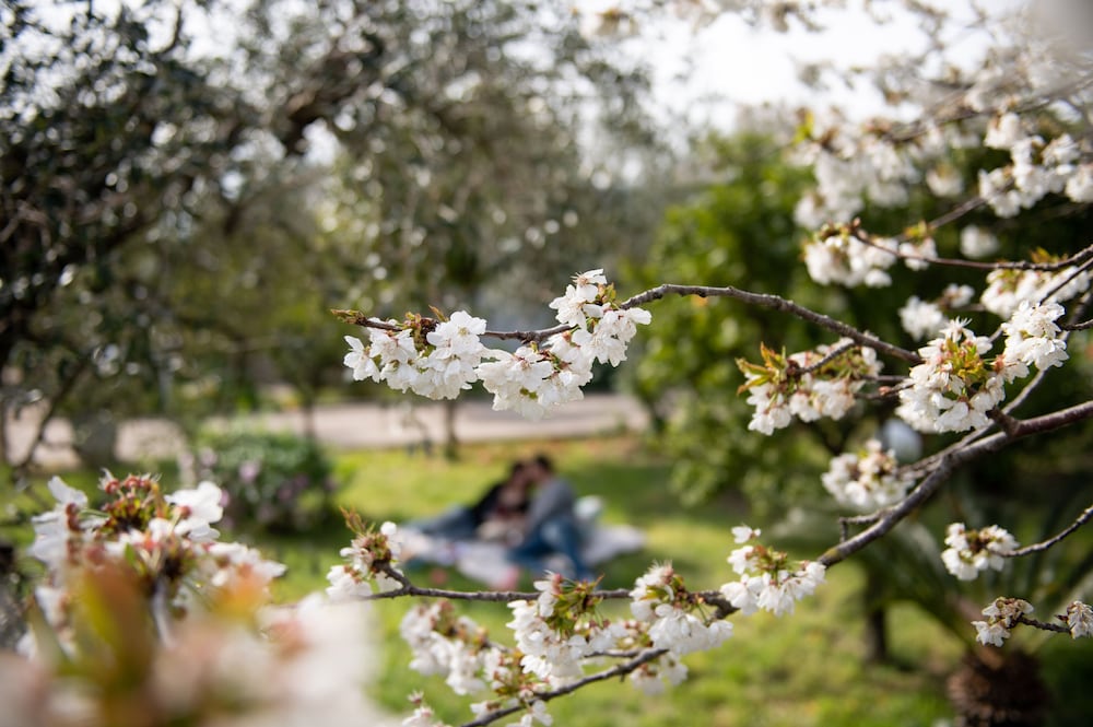 Photo 39