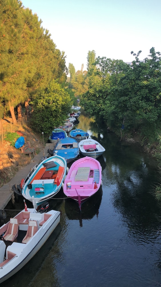 Altin Konaklari