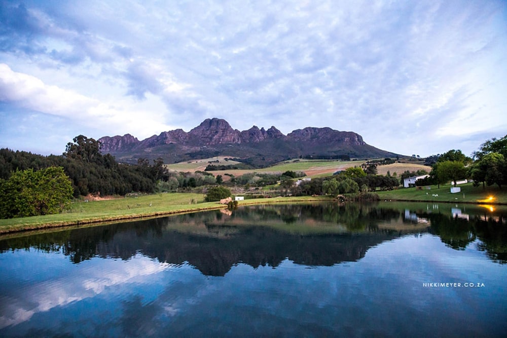 Webersburg Wine Estate