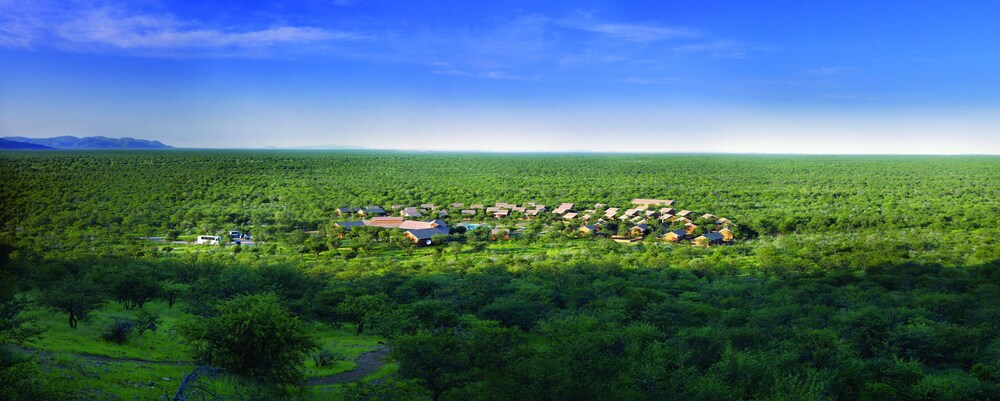 Damara Mopane Lodge