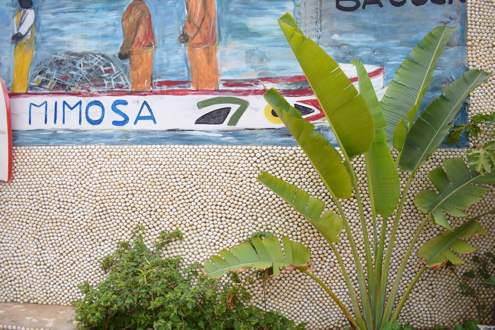 Hotel Mimosa - Hostel