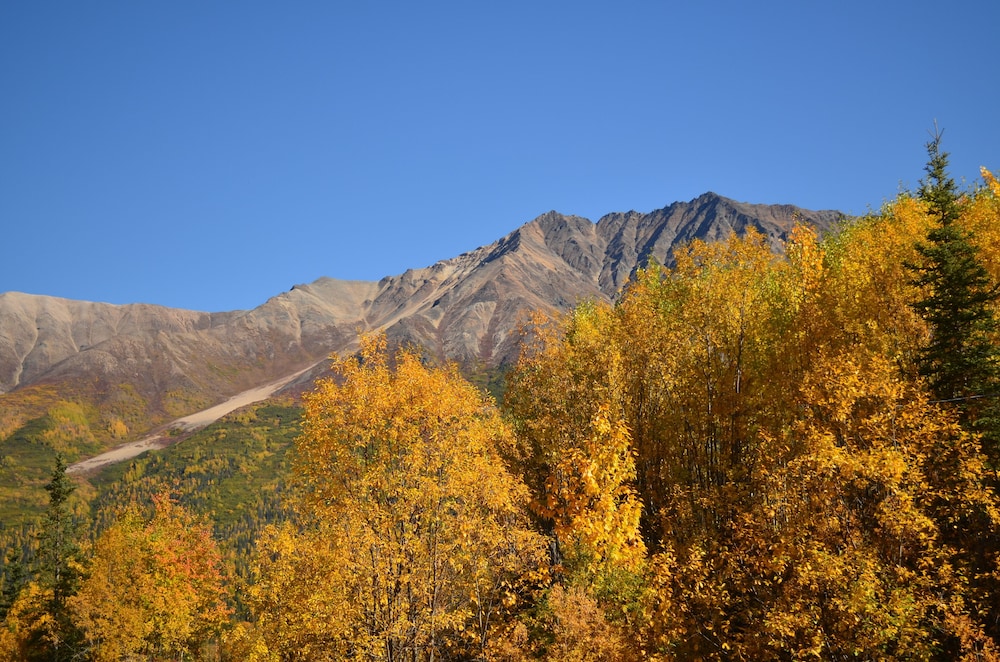 Photo 44
