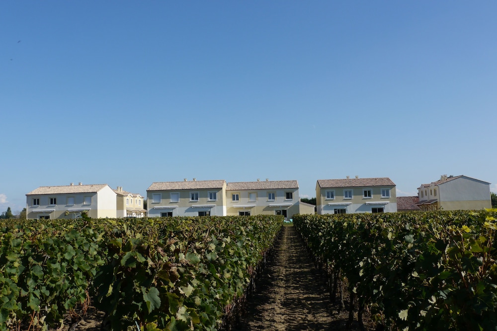 Les Grands Vignobles
