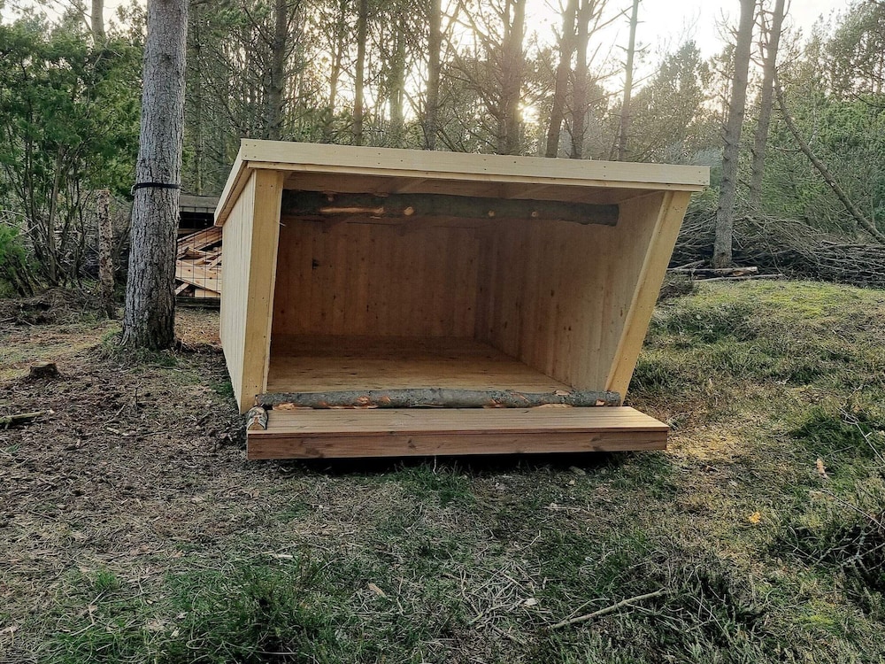 8 Person Holiday Home in Albaek view 5