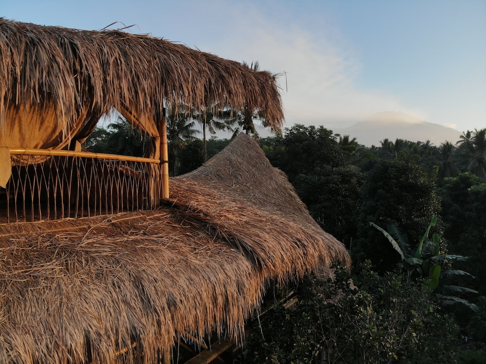 Bamboo & B - Hostel