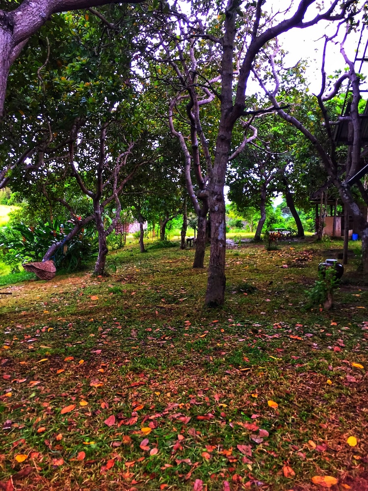 Vue grand hilltop