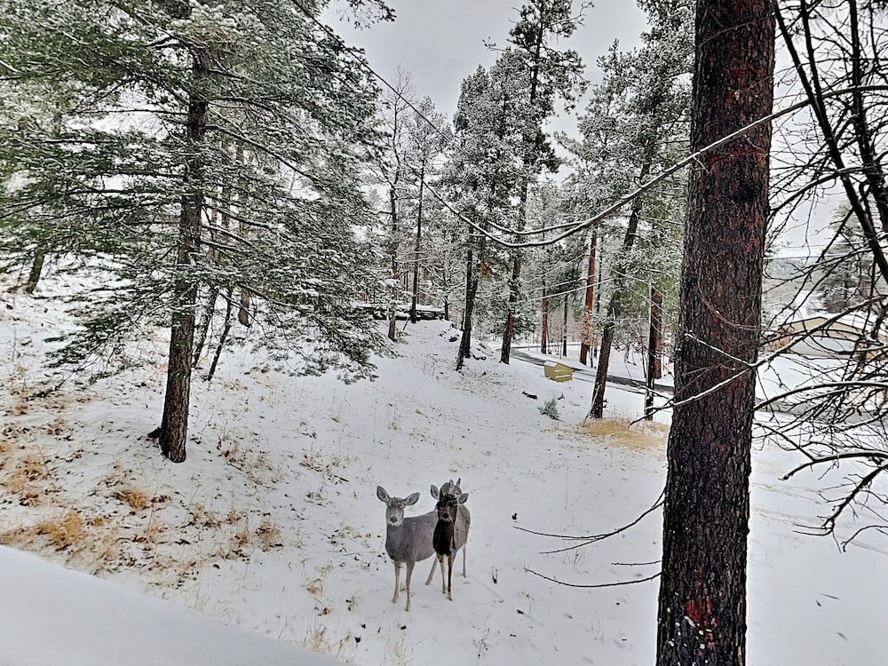 Doc's Den by Ruidoso Vacation Rentals