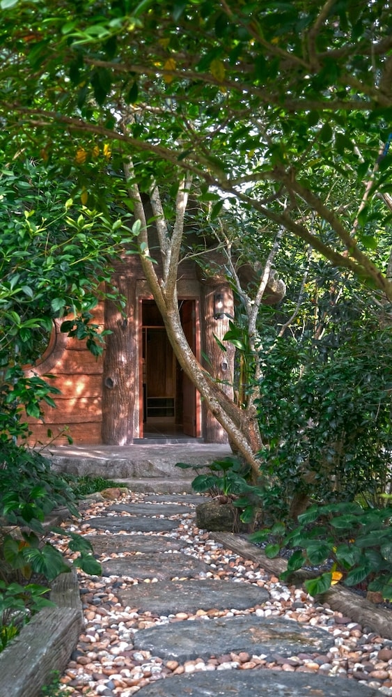 Lush Inn Phuket