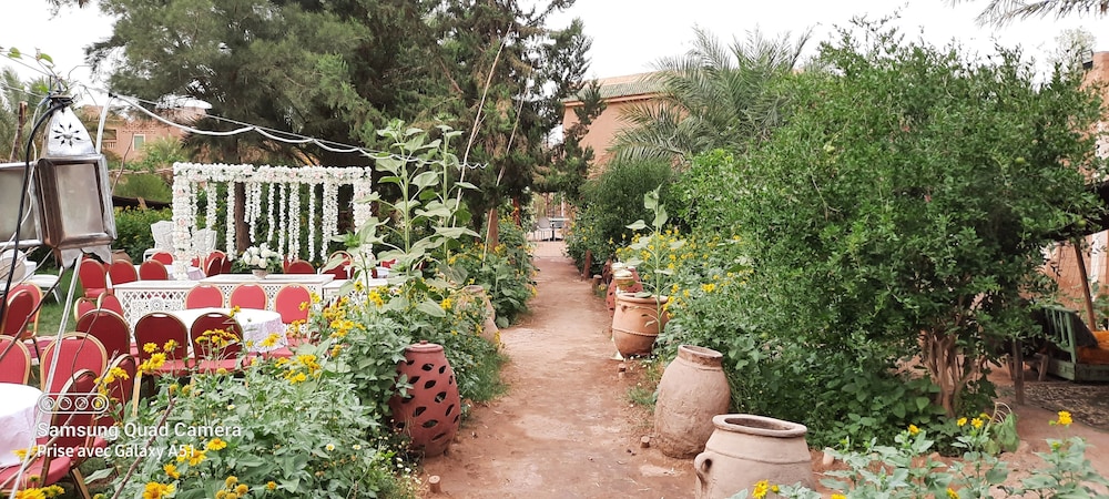 Room in Guest Room - Paradise in the Southern Desert Morocco