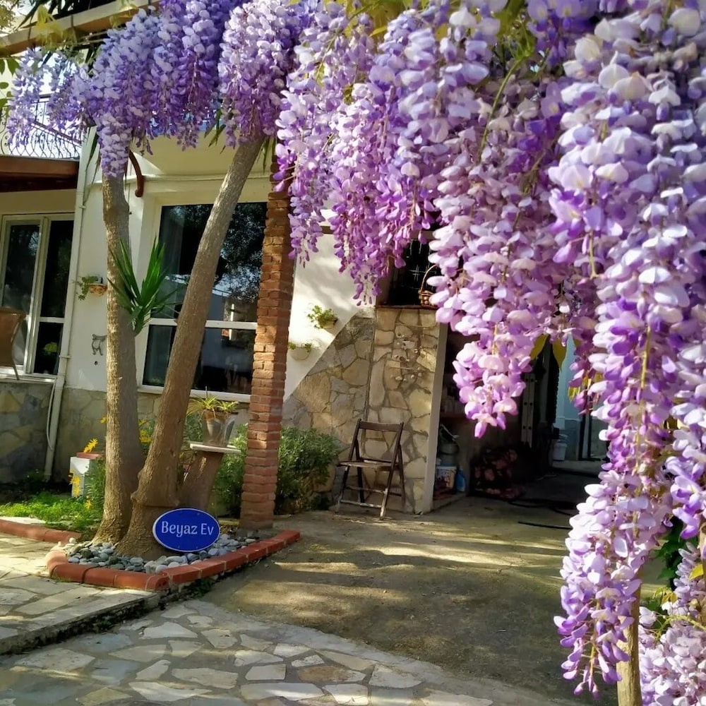 Beyaz Ev Pansiyon
