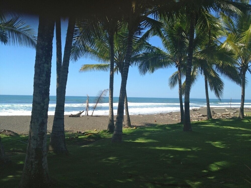 Luxury Beachfront Oasis - Hermosa Palms 50 by RedAwning
