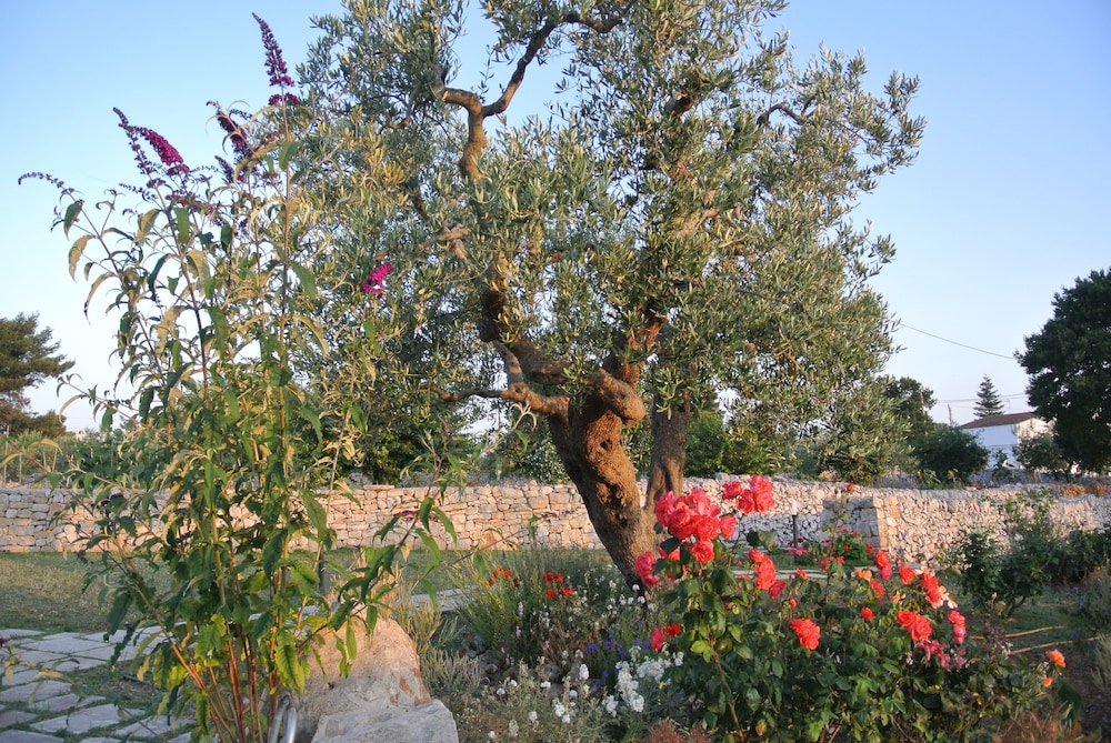Trulli Paparale