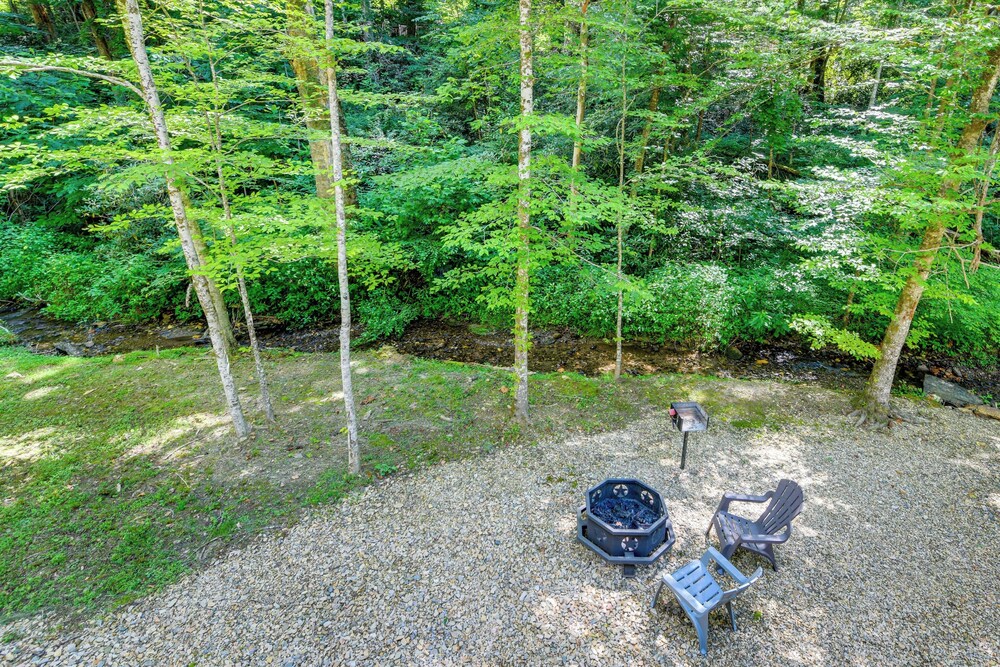 Cosby 'wilderness Cabin' Studio w/ Fire Pit