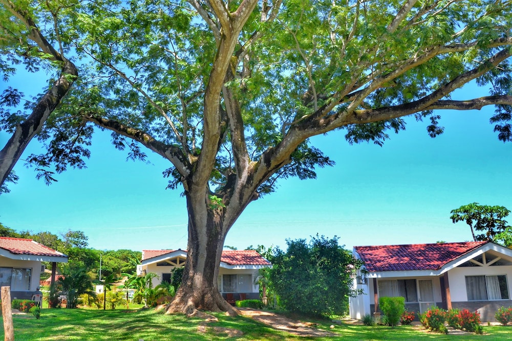 Playa Lagarto Eco Development