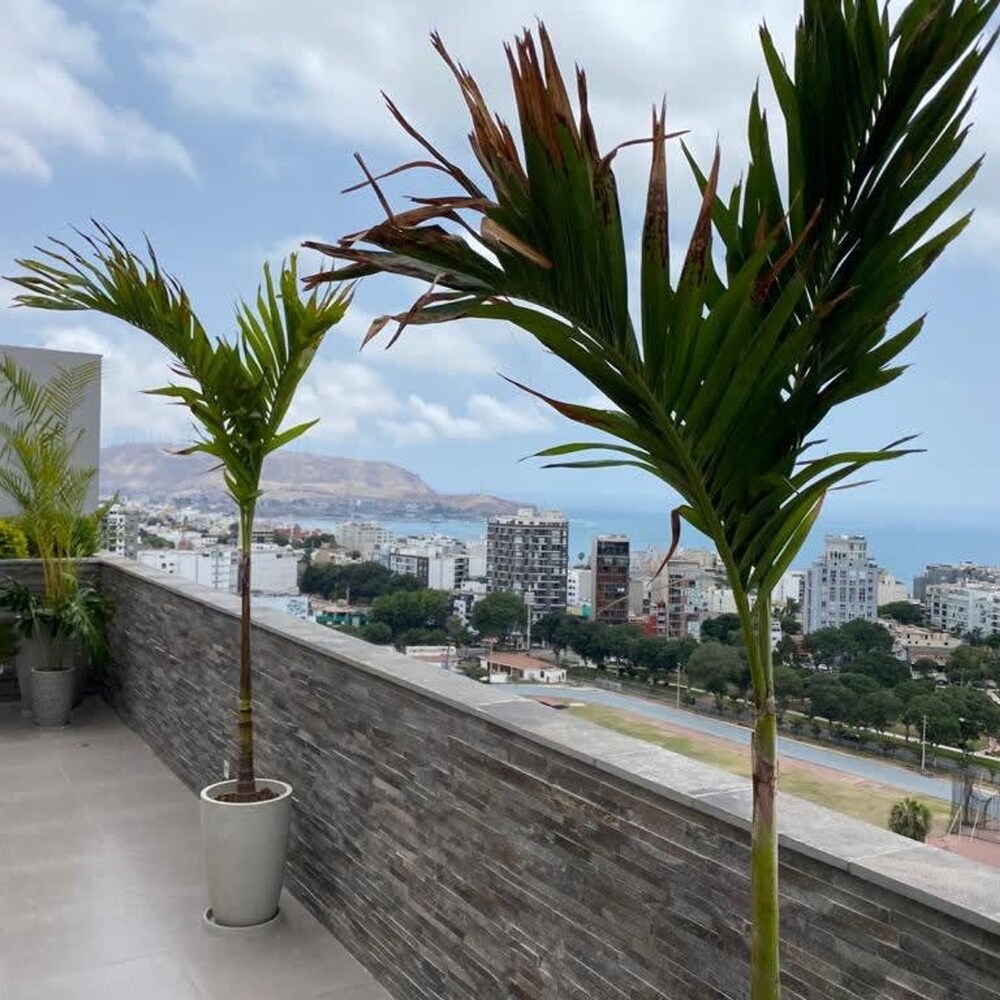 Perfect 1BR With Balcony in Luxurious Building