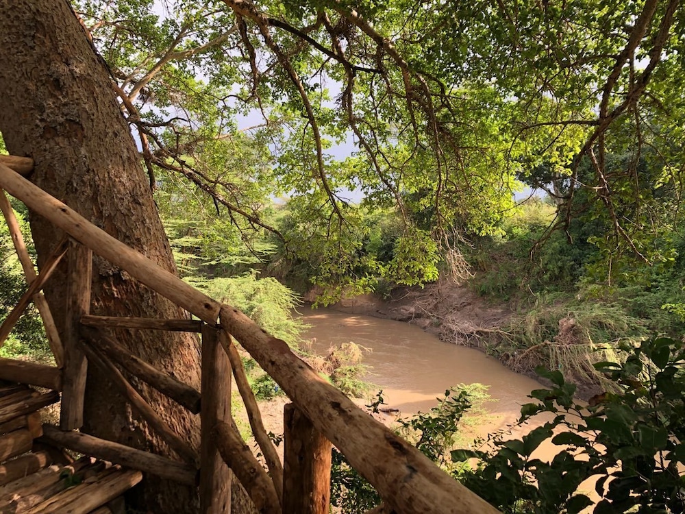 Mara Sweet Acacia Lodge