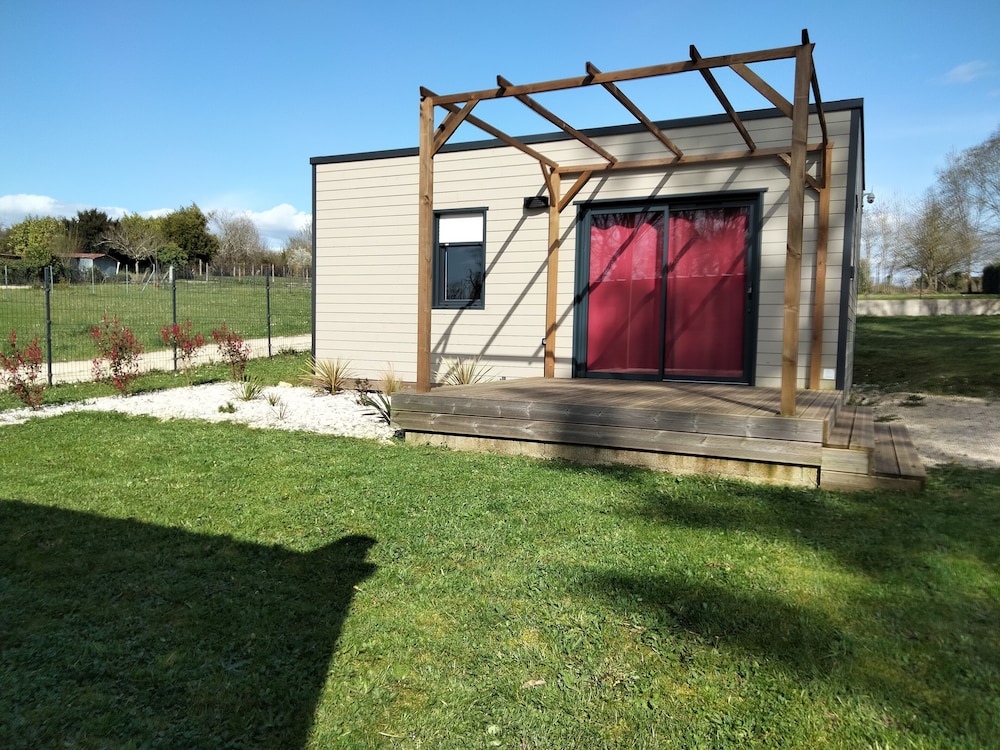 Photo 12