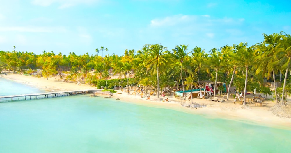 Hotel Mayan Monkey Isla Mujeres | Social Hotel - Image 1